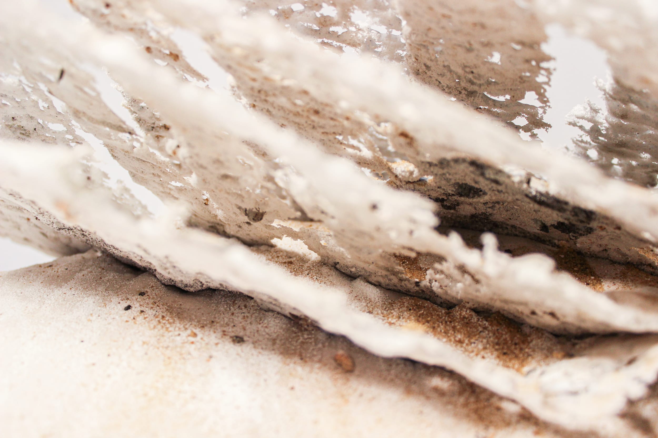 Aeolian Materiality — image 9